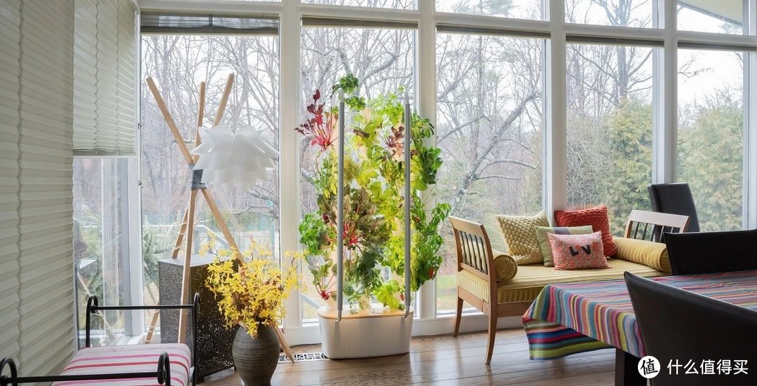 老外推出全自动种植机,0.2㎡能种30种植物,小黑屋也能实现园艺自由
