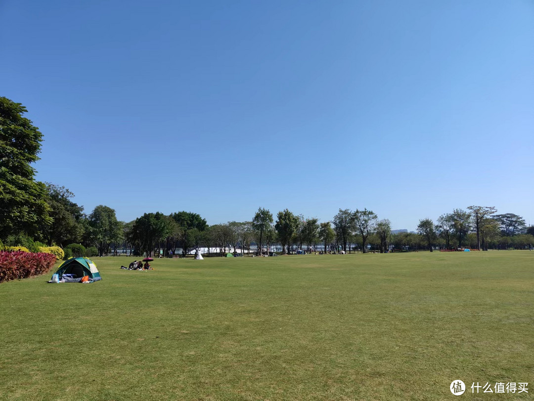 陪伴是最长情的告白,不怎么花钱,也能好好的过上情人节