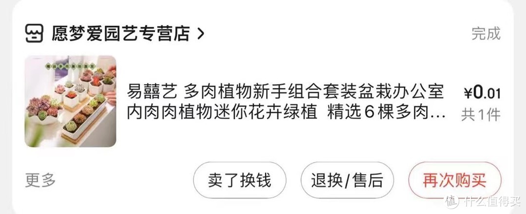 挨土就活的多肉种族,超级适合办公室种植的盆栽